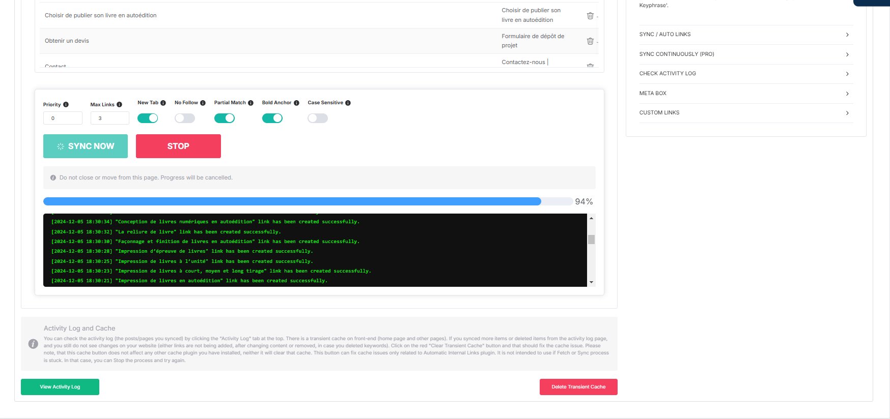 Automatic Internal Links — Sync process at 94% with live log