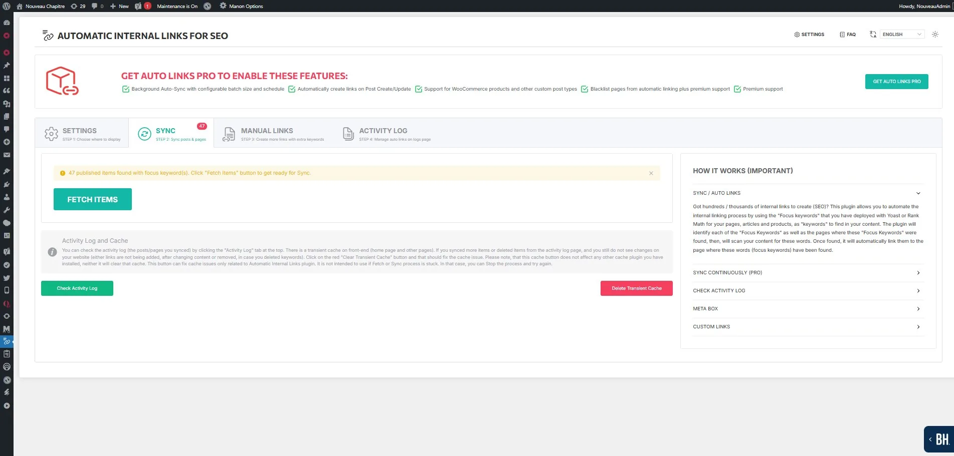 Automatic Internal Links — Sync tab with 17 items ready